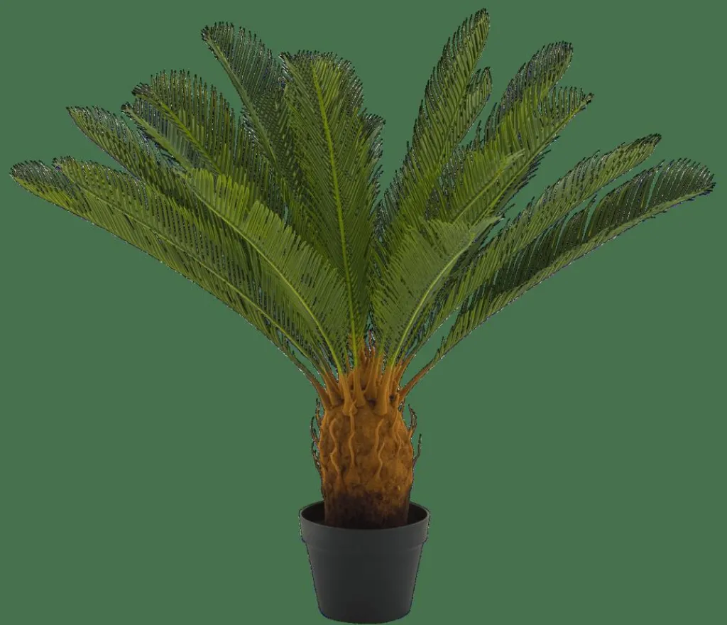 Plantes Artificielles^CASA CYCAS Palmier Vert