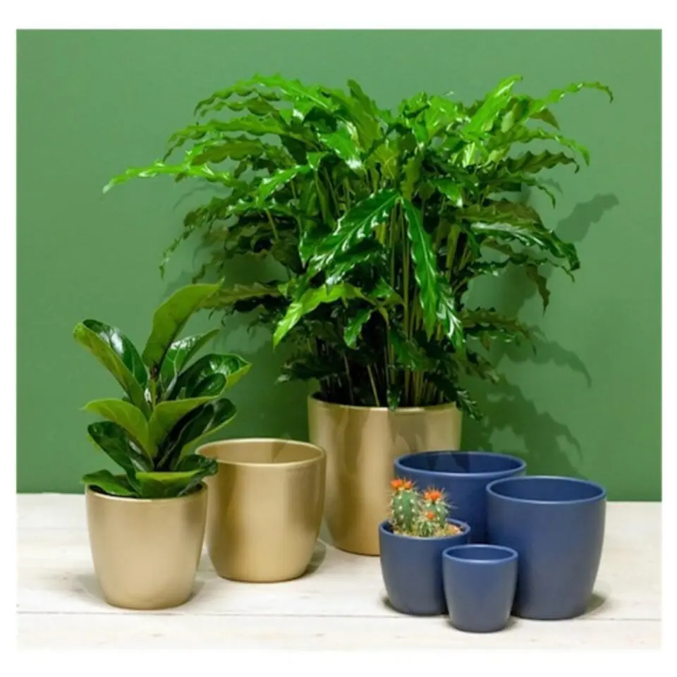 Floran Bloempot - schaal - parelgoud - keramiek - binnen - 22 x 10 cm