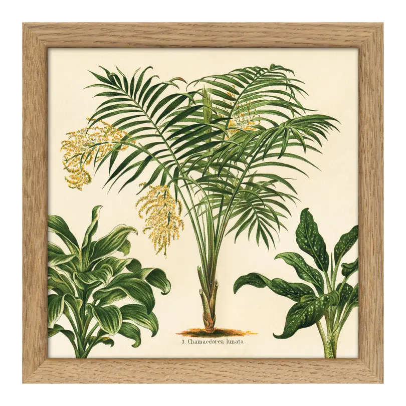 Bild mit Rahmen Botanical