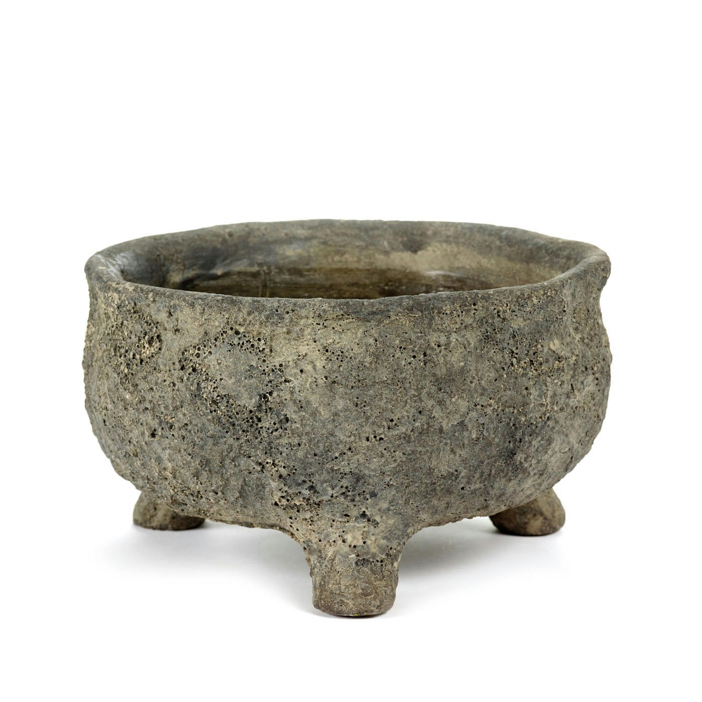 - Pot Dino Bas Medium