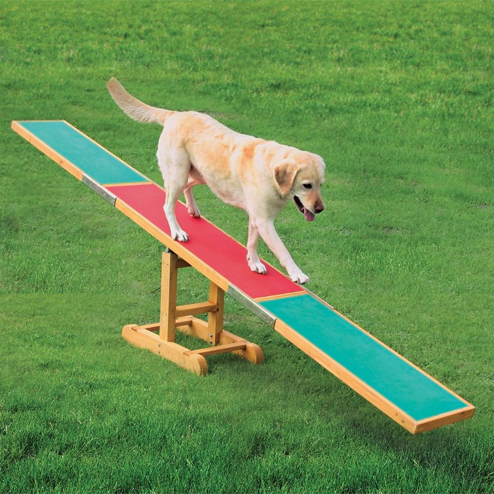 Trixie Dog Agility Seesaw