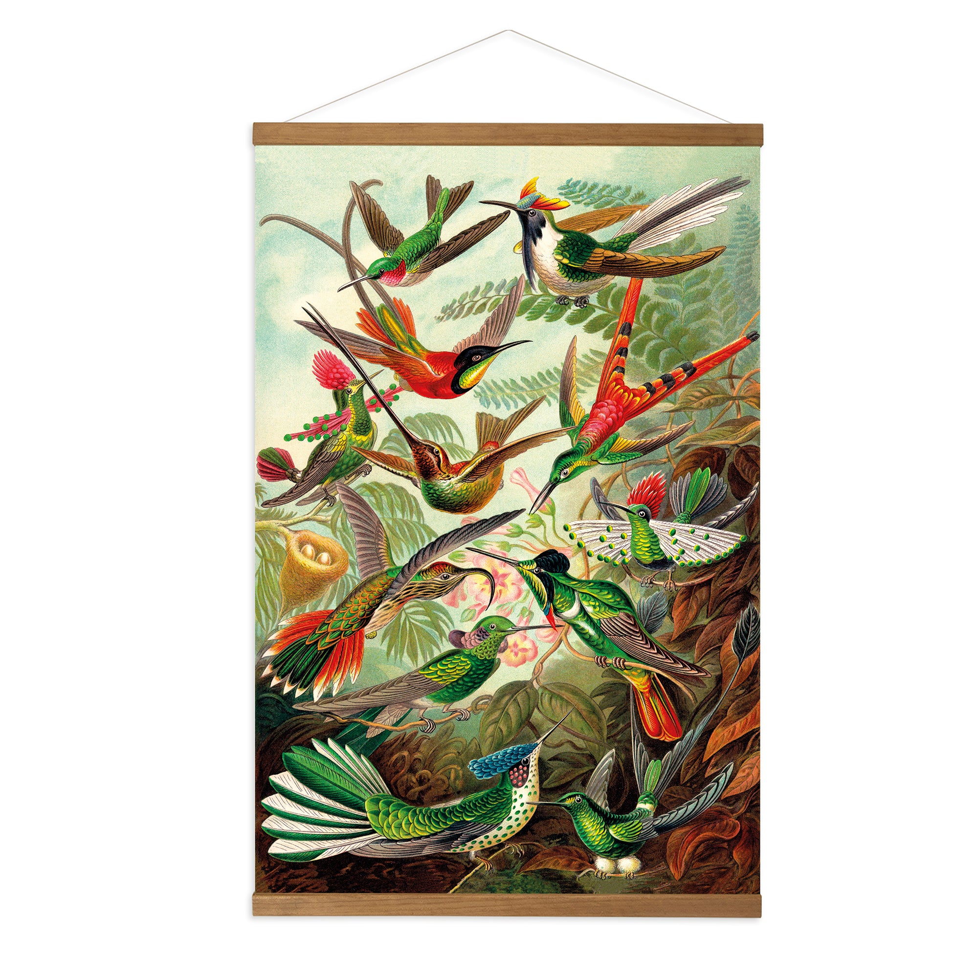 Art for the Home Hangende Poster Linnen - Hummingbirds - 80x60cm