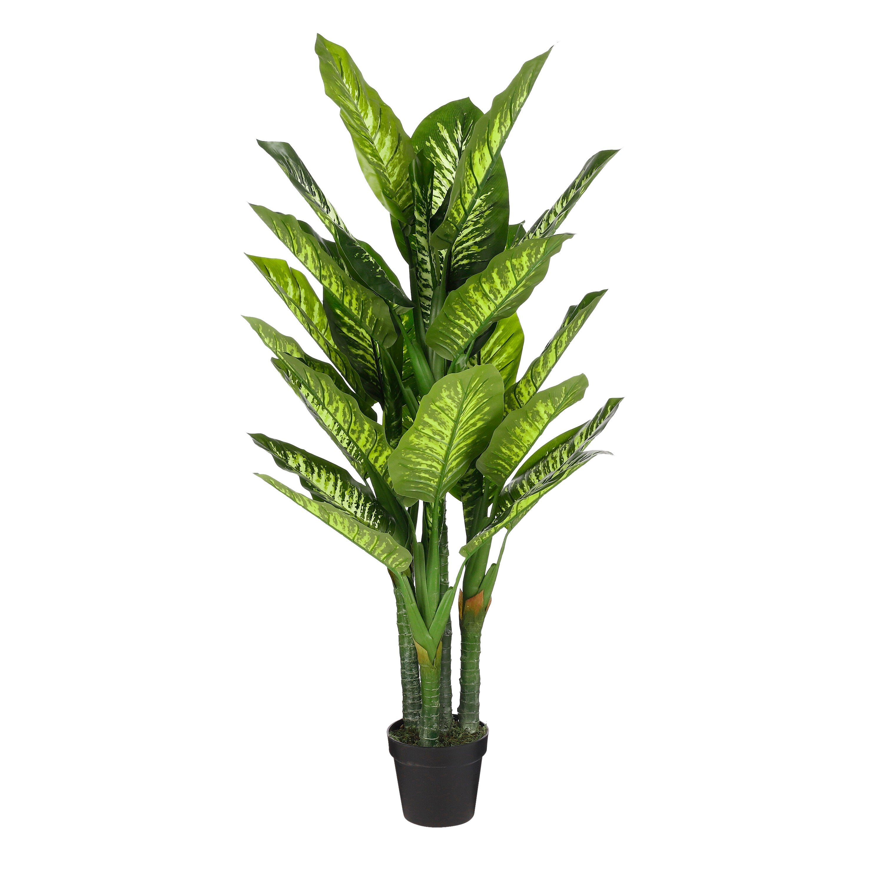 Mica Decorations Dieffenbachia Kunstplant - H150 x Ø70 cm
