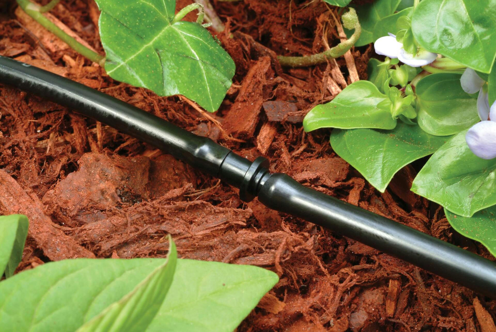 Rain Bird Barbed Coupler, 1/4-in, 10-pk