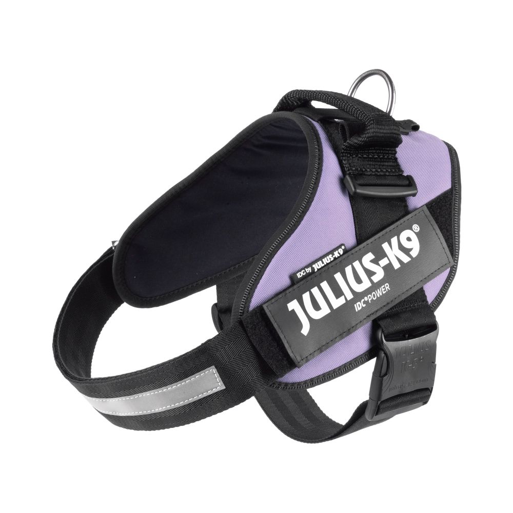 Julius-K9 IDC® Powerharness - Purple