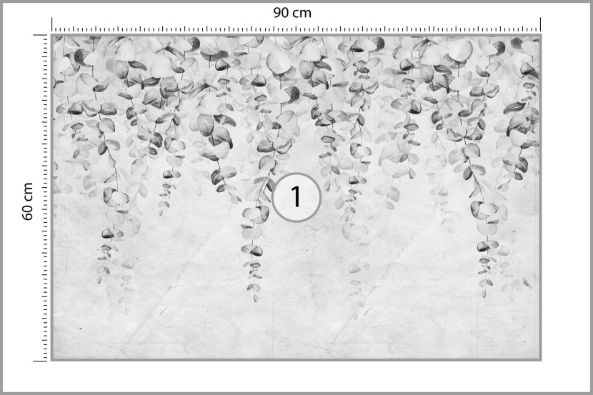 Fototapeta Delikatne Czarne Liście Na Betonie 90x60cm
