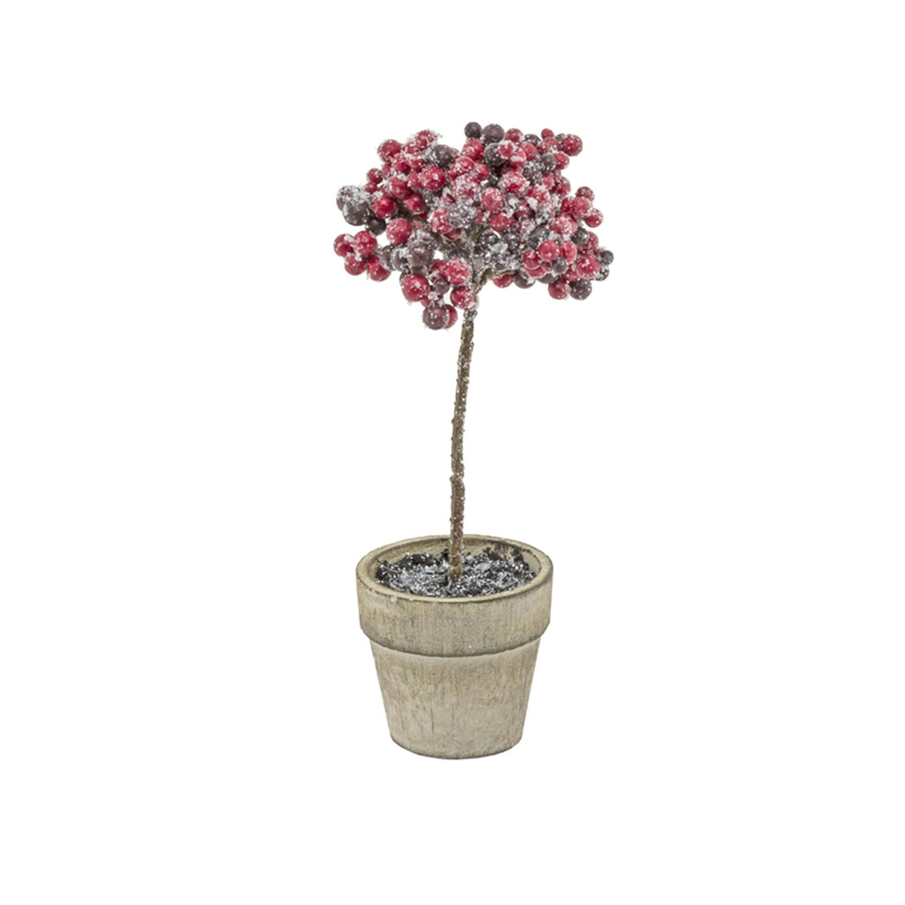 NOËL - Baies enneigées en pot