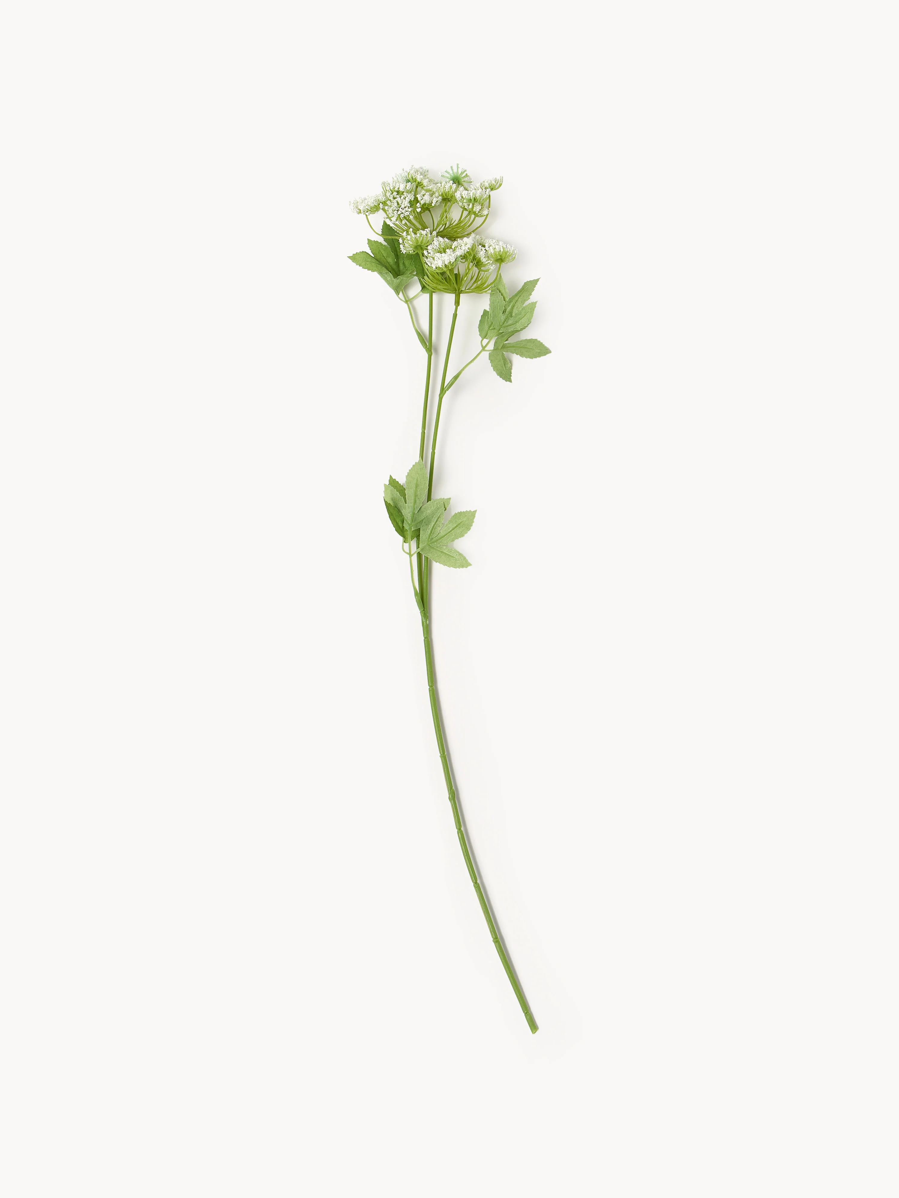 Kunstblume Fenchel