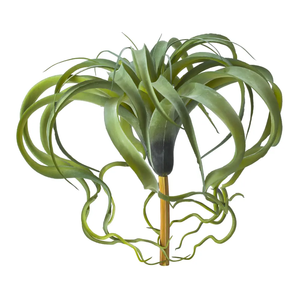 Kunstblume Giardino