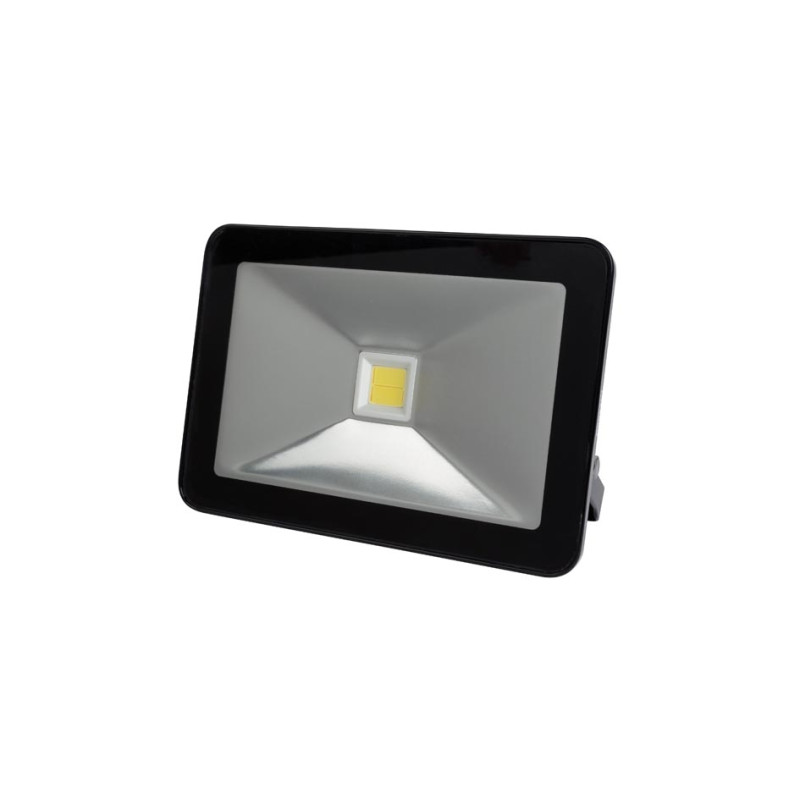 Projecteur LED Design avec détecteur de mouvements 20 W PEREL