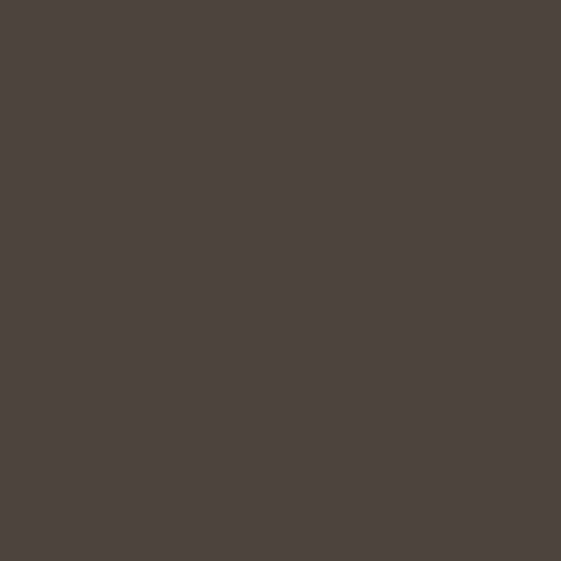 Laque Easy Colours brun Havane satiné 0,4 L V33