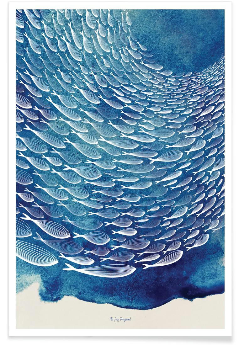 FISH SHOAL - Affiche blanc & bleu