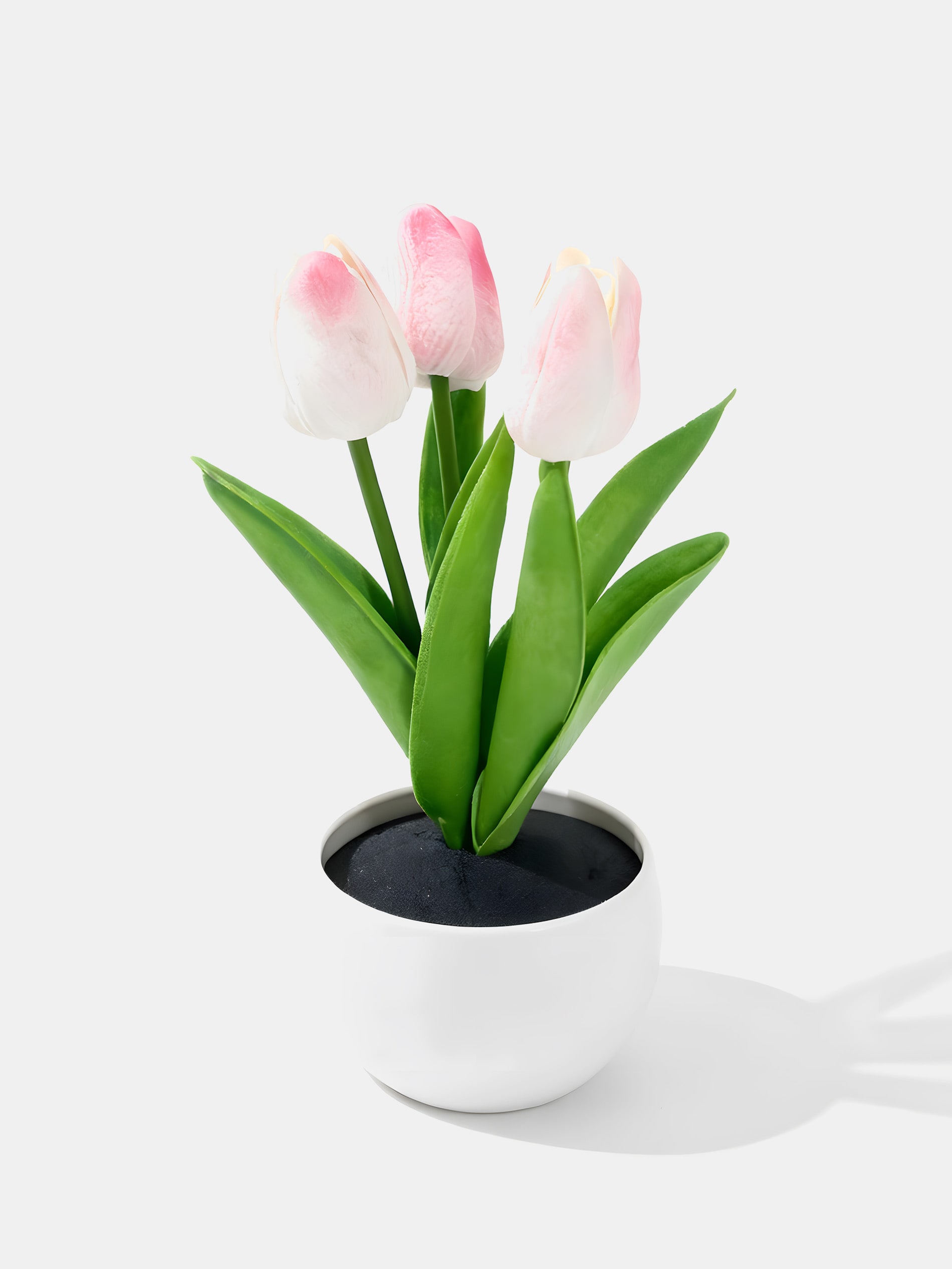 Dekoracyjne tulipany w doniczce