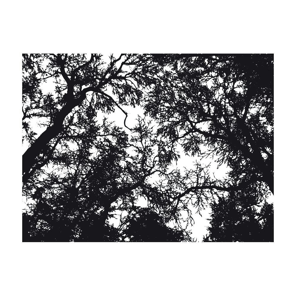 - Papier peint panoramique forêt sombre 200x154 cm