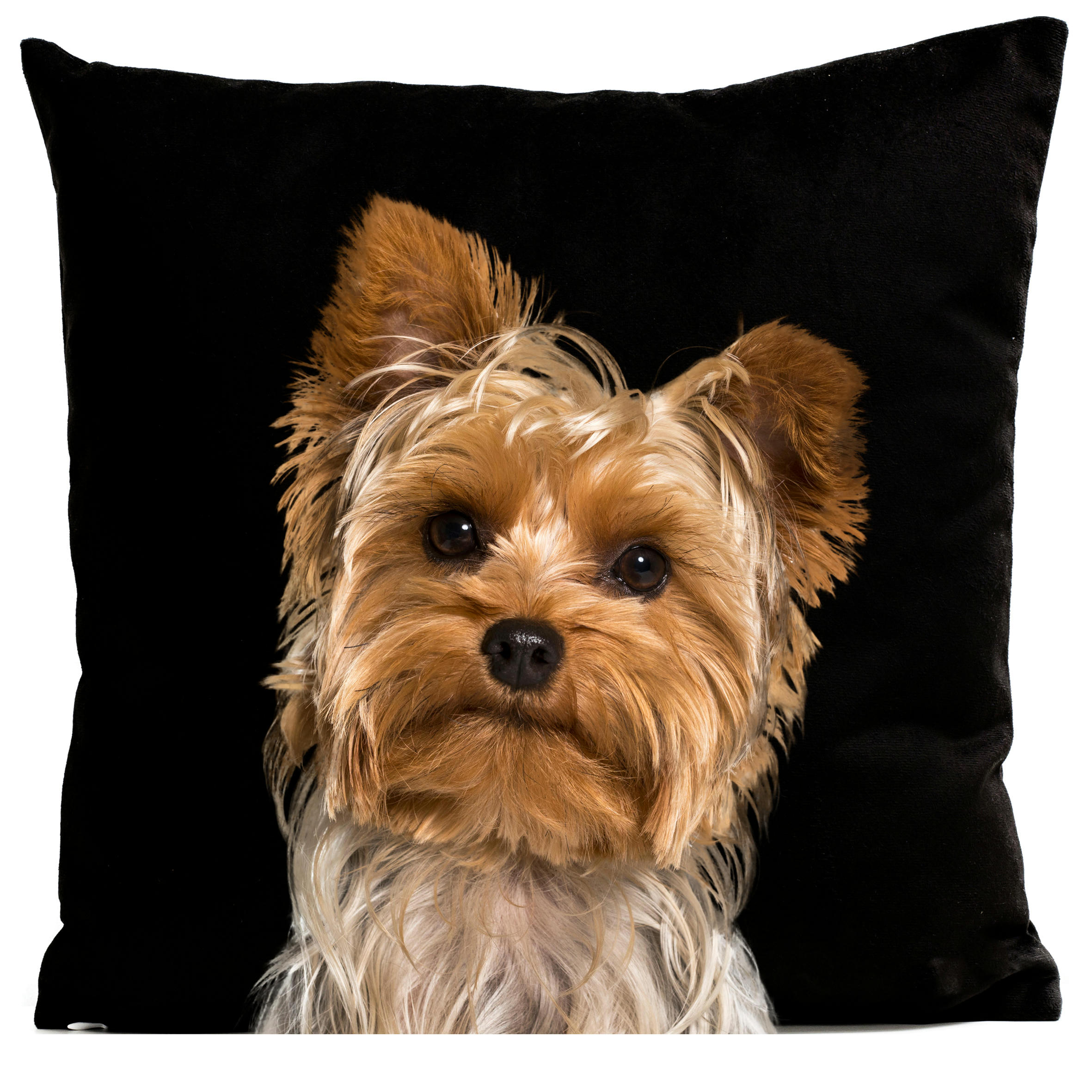 - Coussin chien yorshire suédine noir 40x40cm