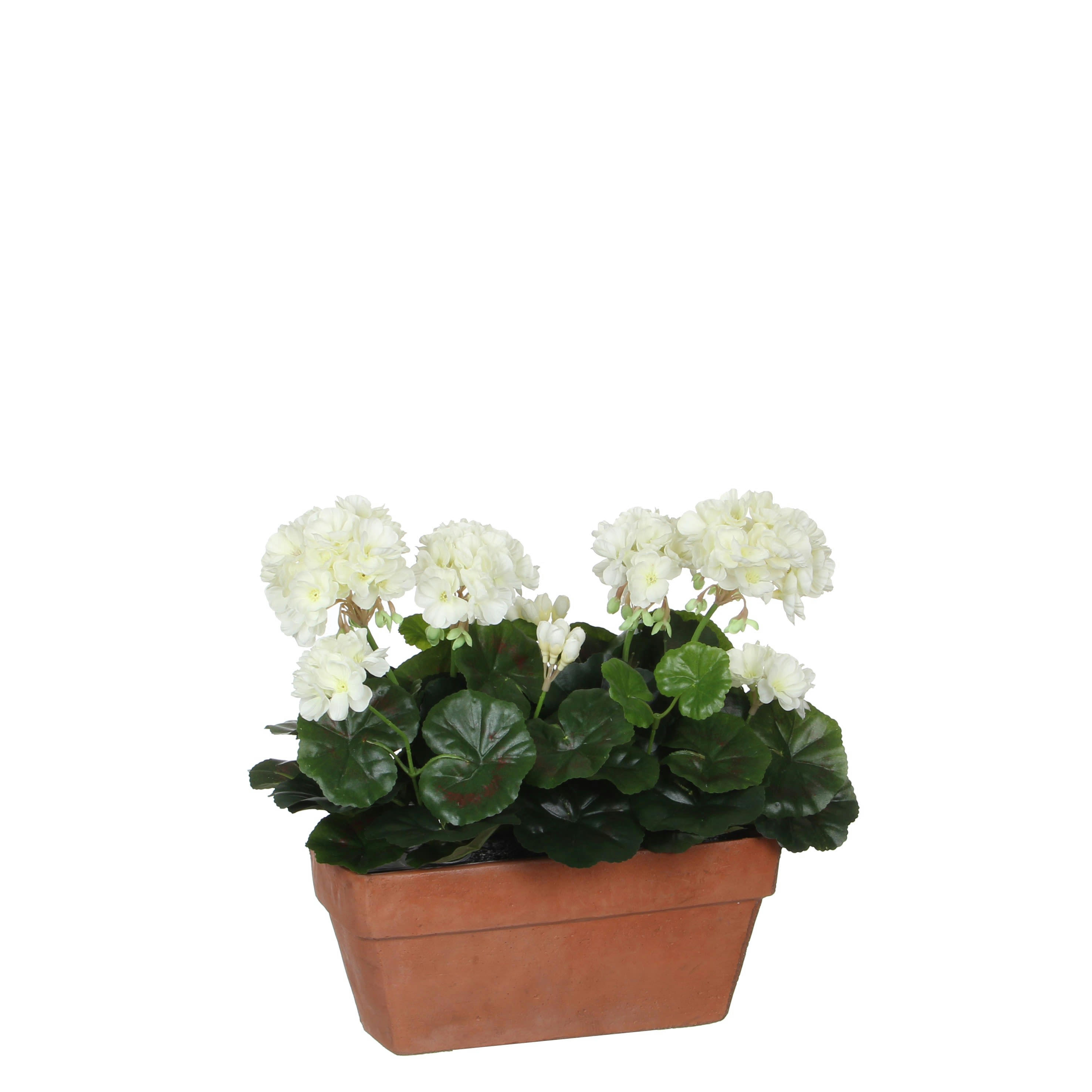 - Géranium artificielle blanc en jardinière H40