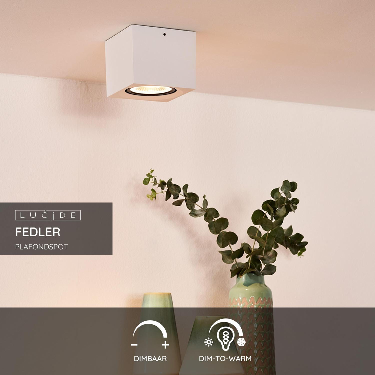 FEDLER - Plafondspot - LED Dim to warm Wit