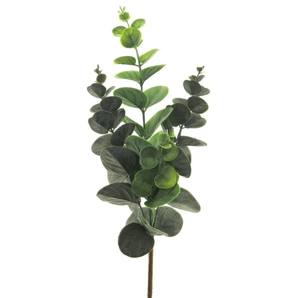 Bellatio Design Kunstbloem/kunsttak Eucalyptus - 38 cm