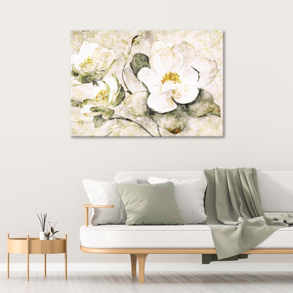 Feeby Obraz na płótnie, Białe kwiaty natura 60x40
