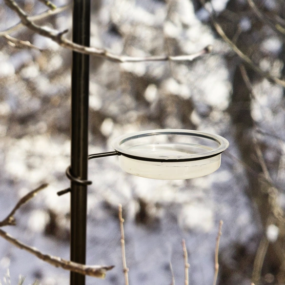 Vogeltränke, Kunststoff, transparent