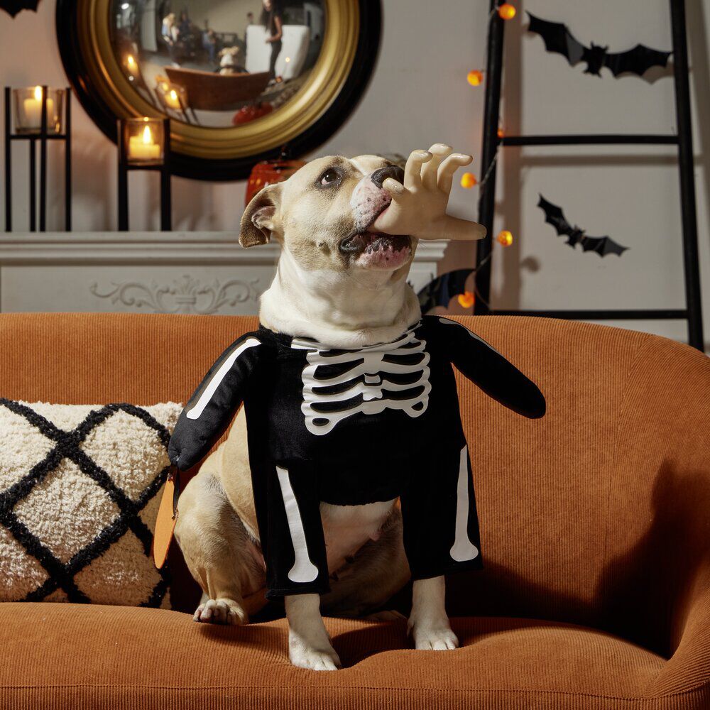 Déguisement pour chien squelette noir et blanc S/M