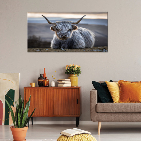 Feeby Obraz na płótnie, Leżąca Krowa Szkocka 80x40