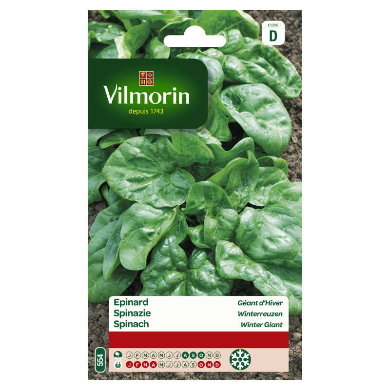 Semences d'épinard Géant d'Hiver 15 g VILMORIN