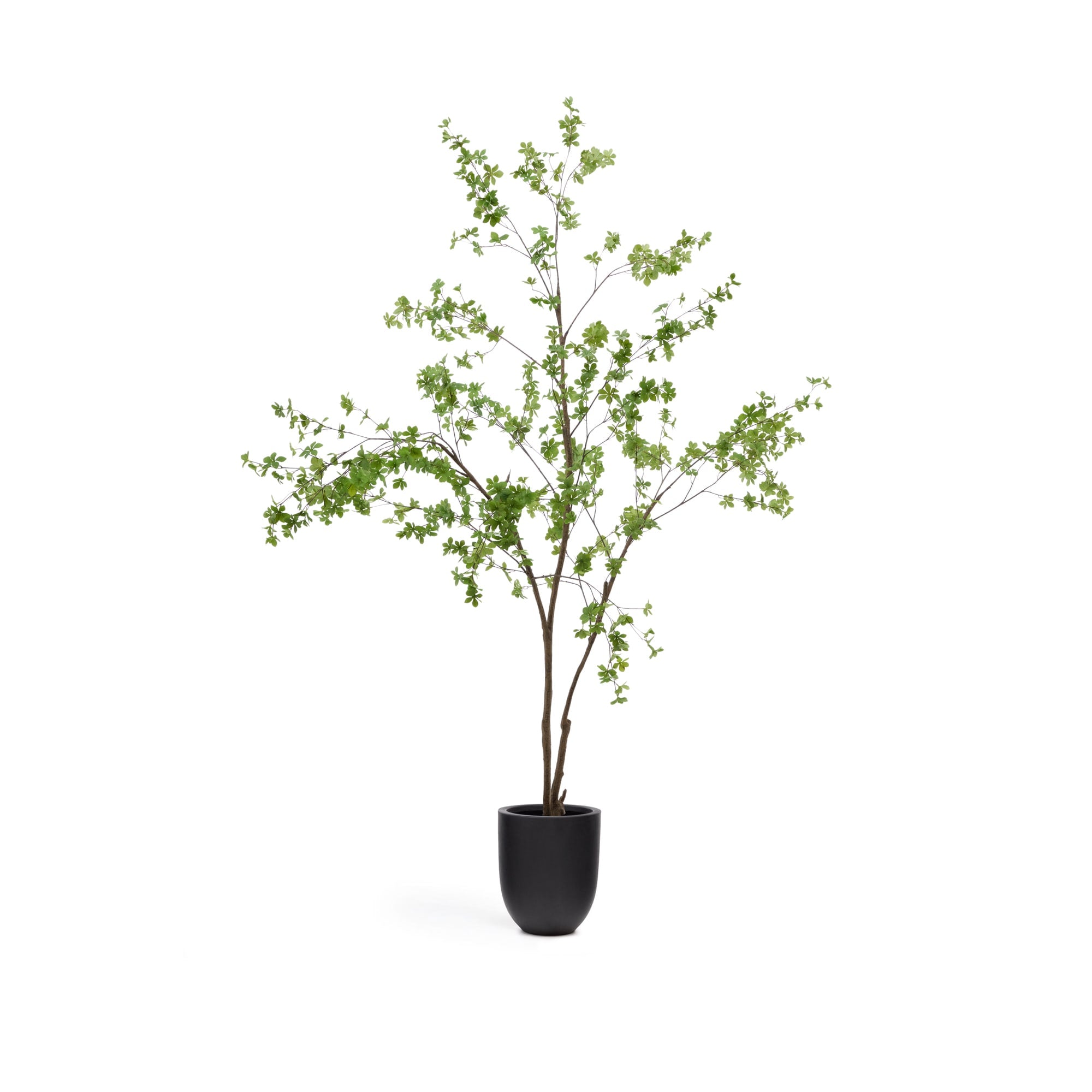 Kave Home - Enkianthus-kunstboom met zwarte pot 214 cm