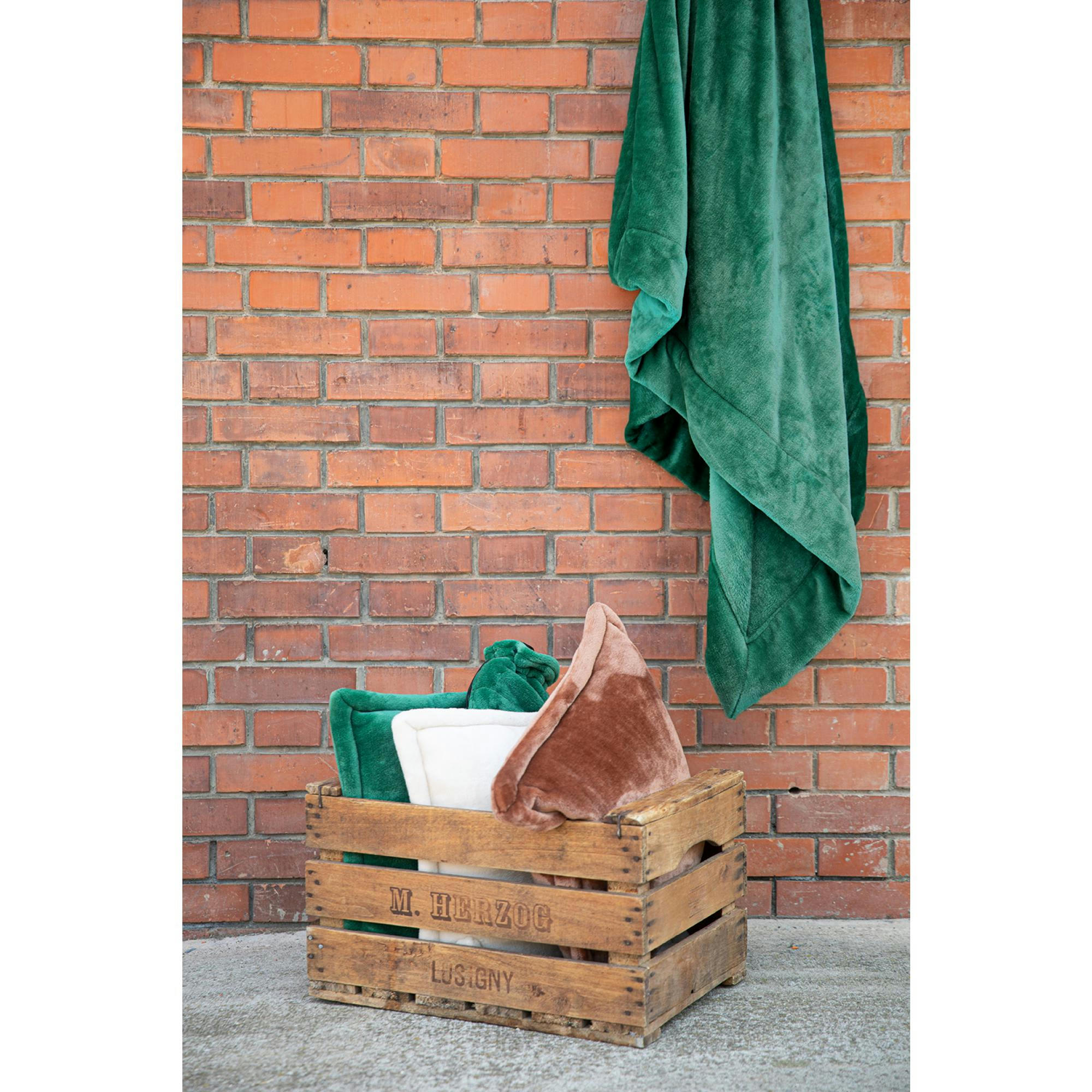 TENDER - Coussin  en polyester epicea 50 x 50