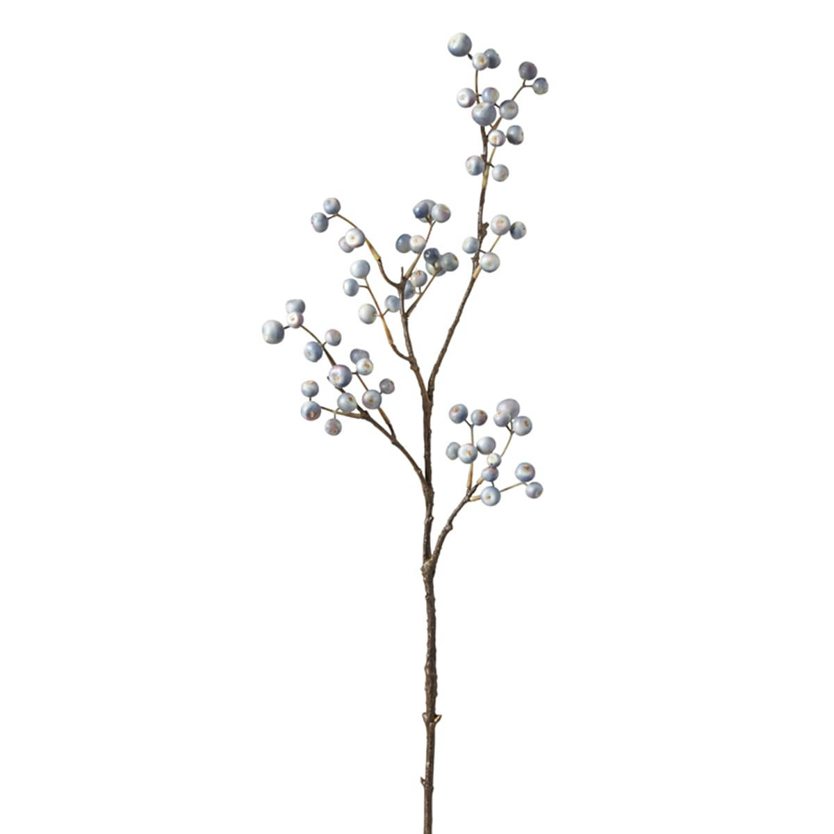 - Branche de baies H75