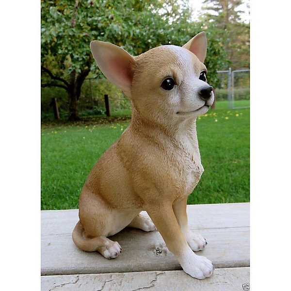 Chihuahua assis en résine 23 cm