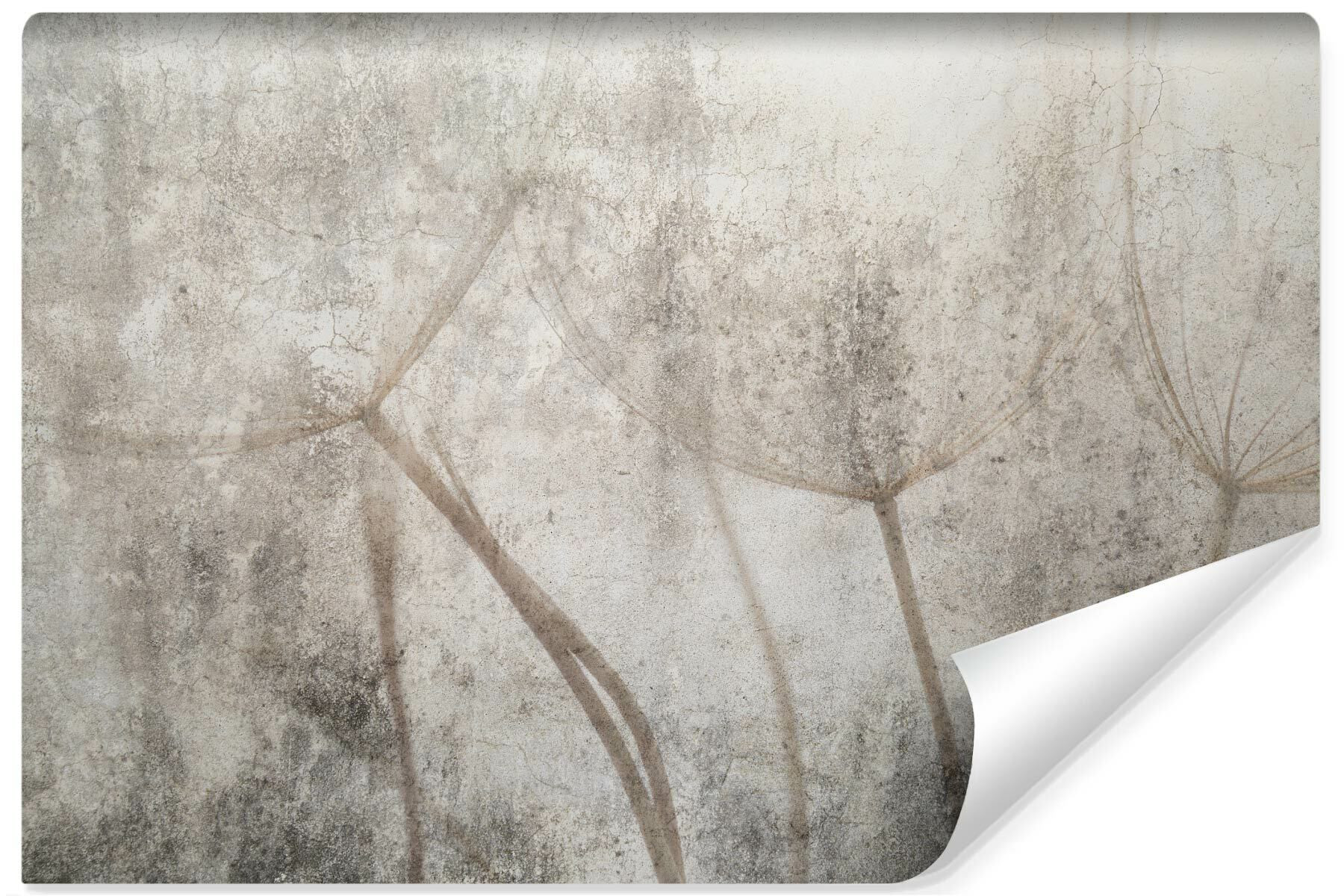 Fototapeta Nasiona Dmuchawca w Stylu Vintage 90x60cm