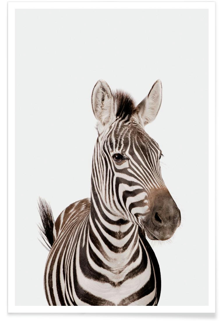 ZEBRA - Affiche blanc & noir