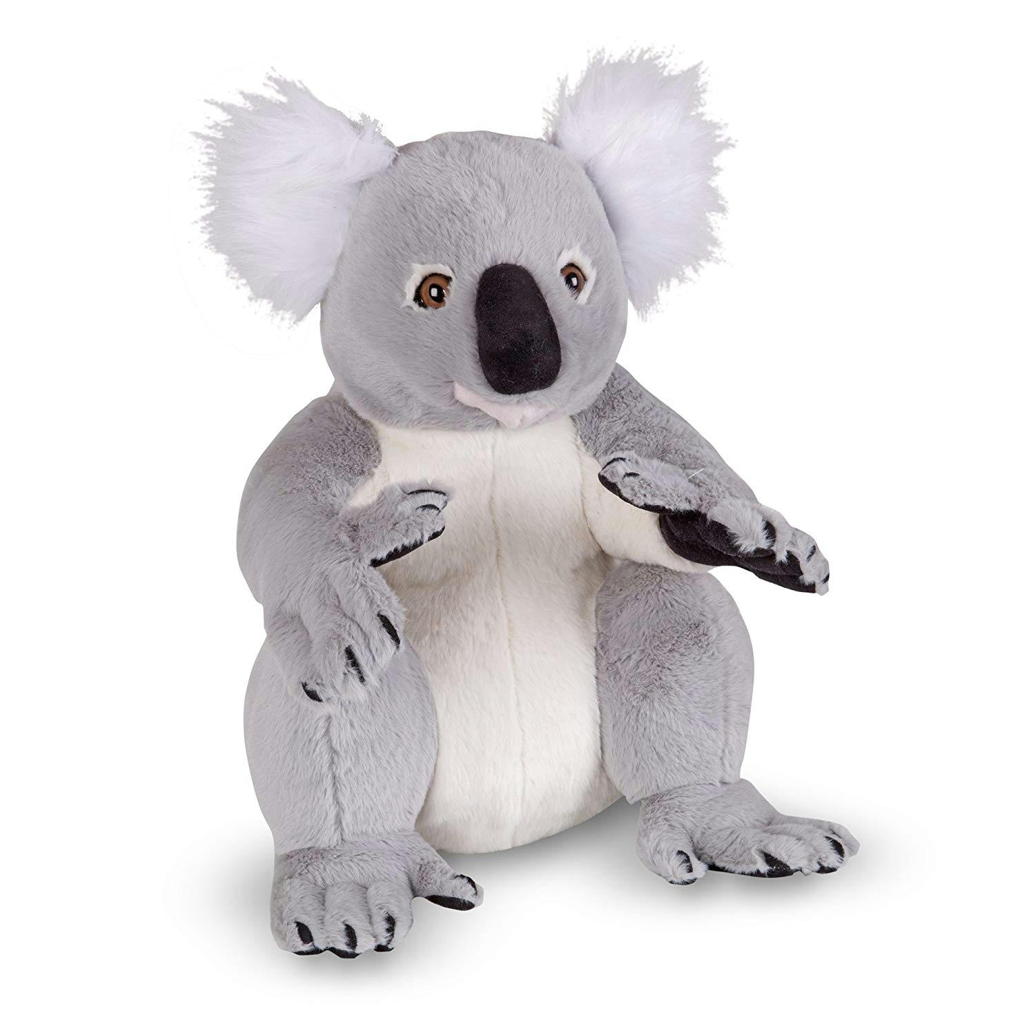 - Peluche Koala