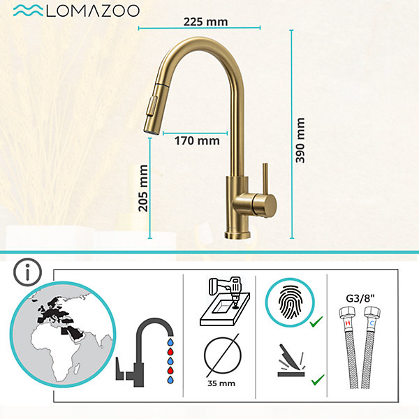 Mitigeur Cuisine avec Douchette Doré LOMAZOO Sphinx