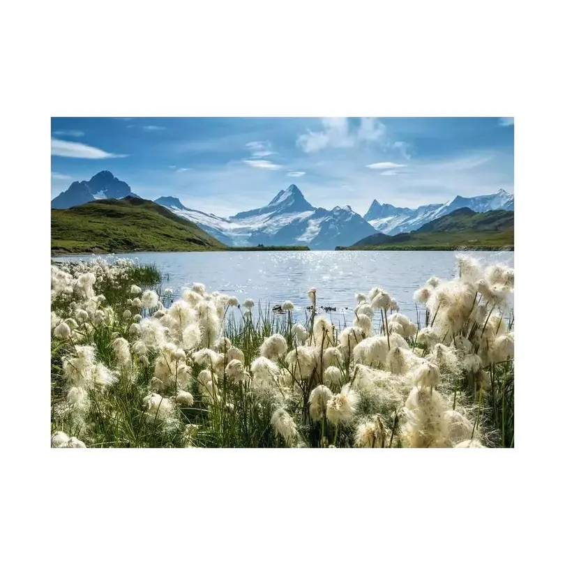 Puzzle 1000er-Set Bachalpsee Grindelwald