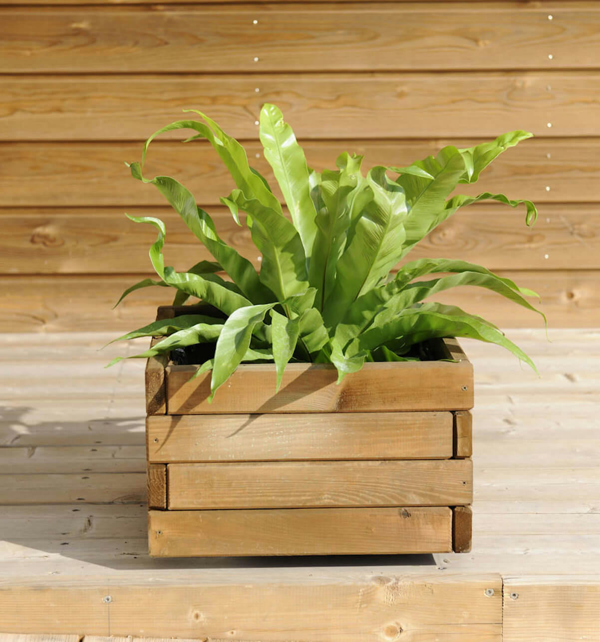 - Bac à fleurs carré - 40cm