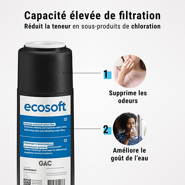 Filtre charbon actif granulaire 10' ECOSOFT lot de 4