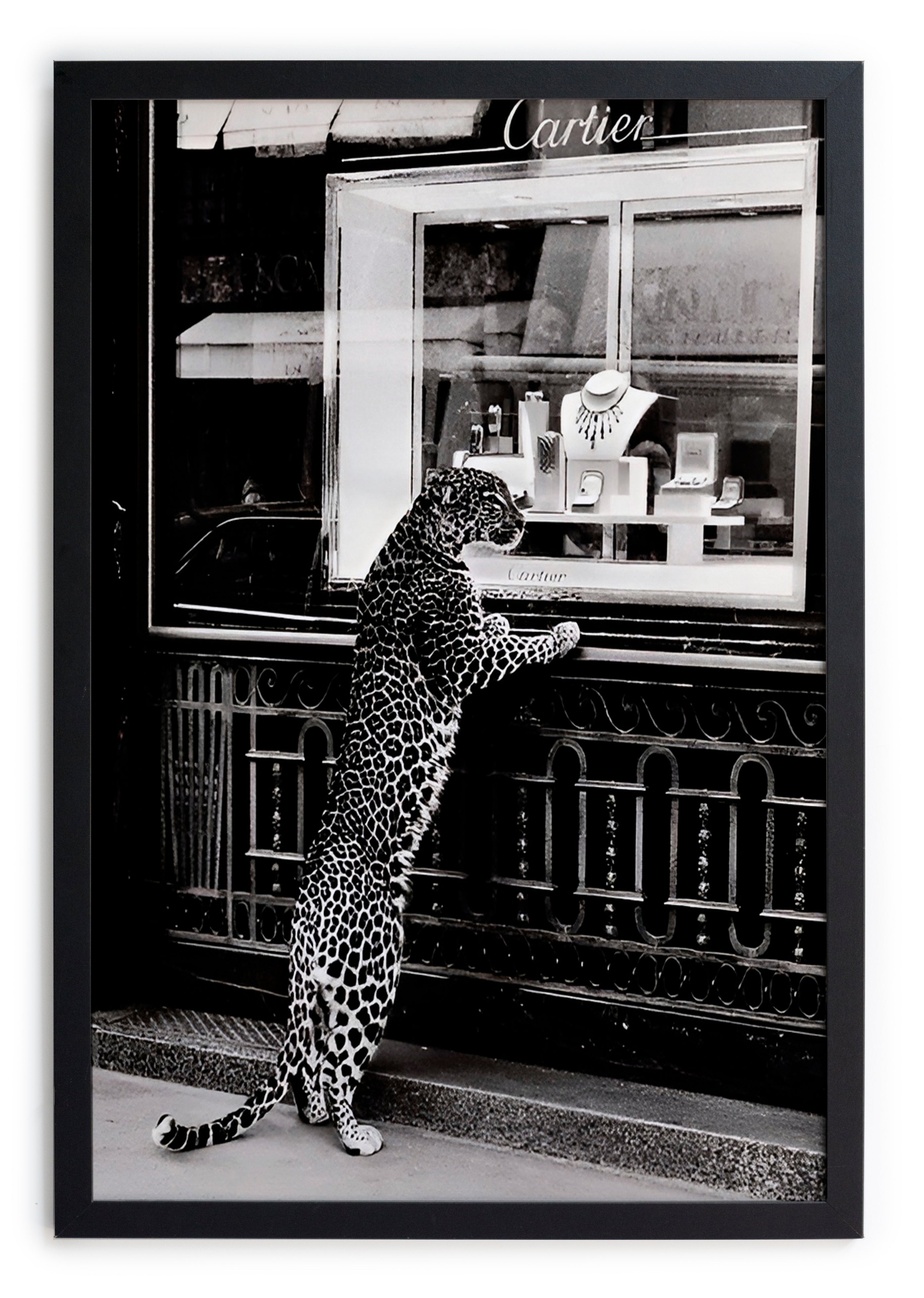 Zwarte lijst met kader 40x30 Cheetah