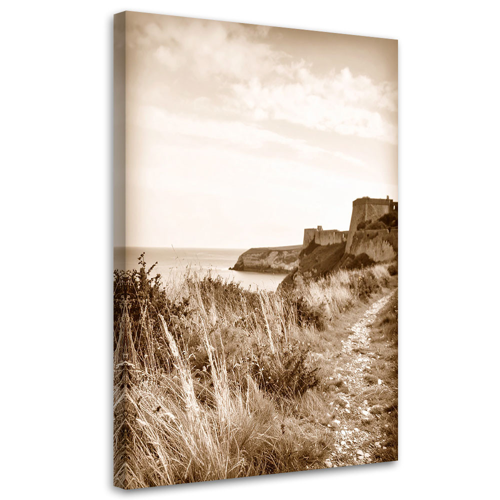 Obraz do salonu sypialni biura, Krajobraz morski sepia klif skały 20x30