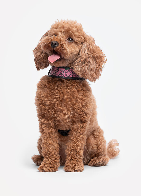 Pettorina Liu Jo Pets