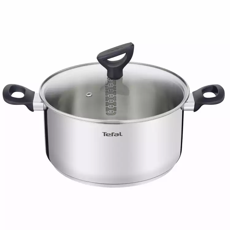 Tefal 24cm Stainless Steel Stew Pot