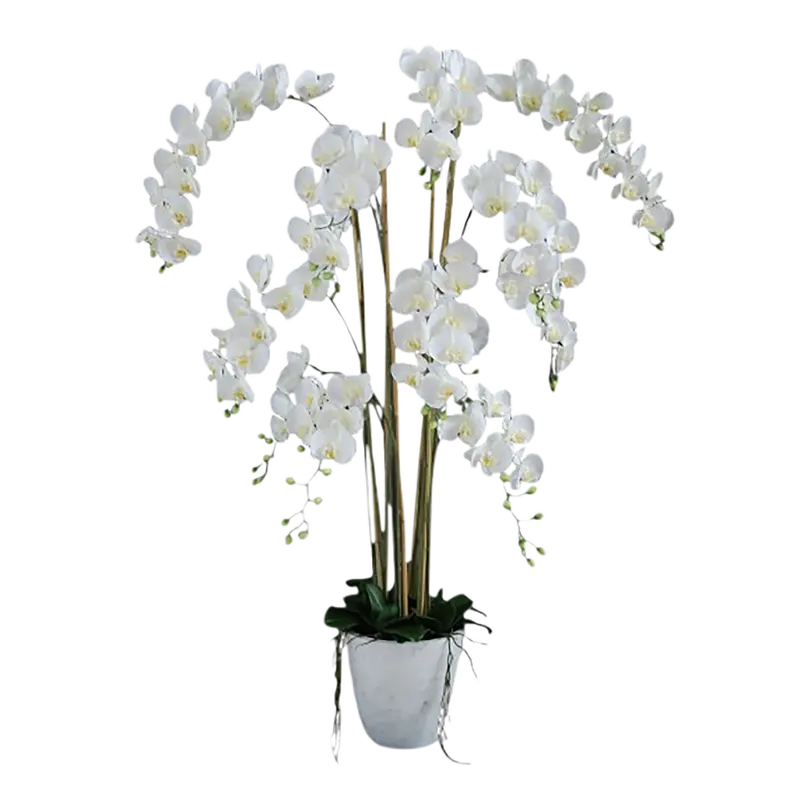 Kunstpflanze Phalaenopsis