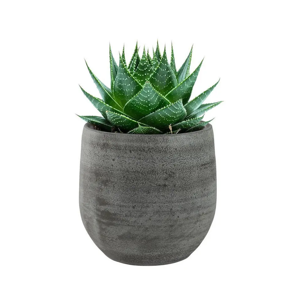 Ter Steege Plantenpot/bloempot - keramiek - grijs - 15 x 13 cm