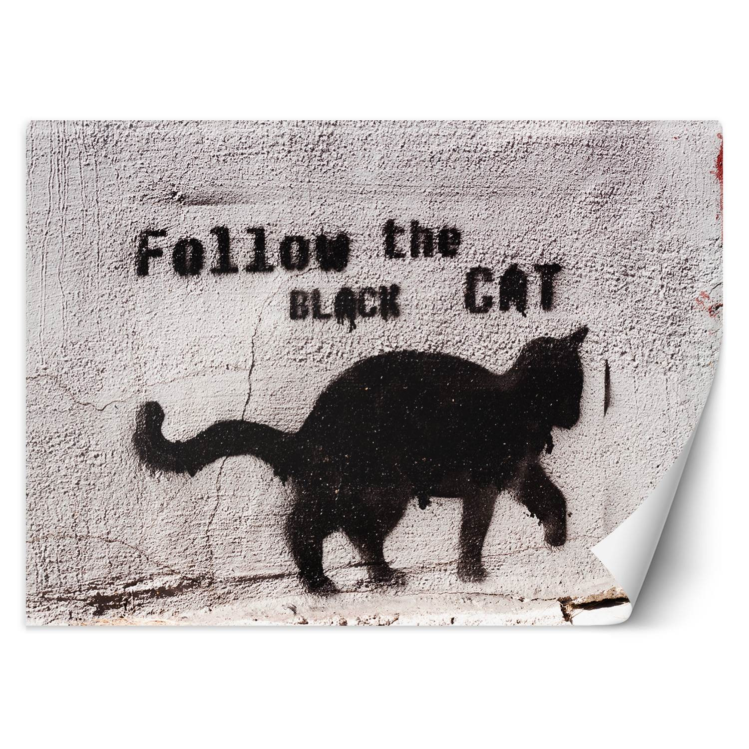 Feeby Fototapeta, Czarny kot follow the black cat beton 150x105