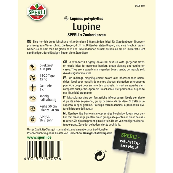Lupinen »SPERLI's Zauberkerzen«, mehrjährig, prächtige Blütenstände, Höhe ca. 100 cm