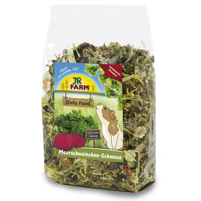 JR Farm Guinea Pig Food Feast