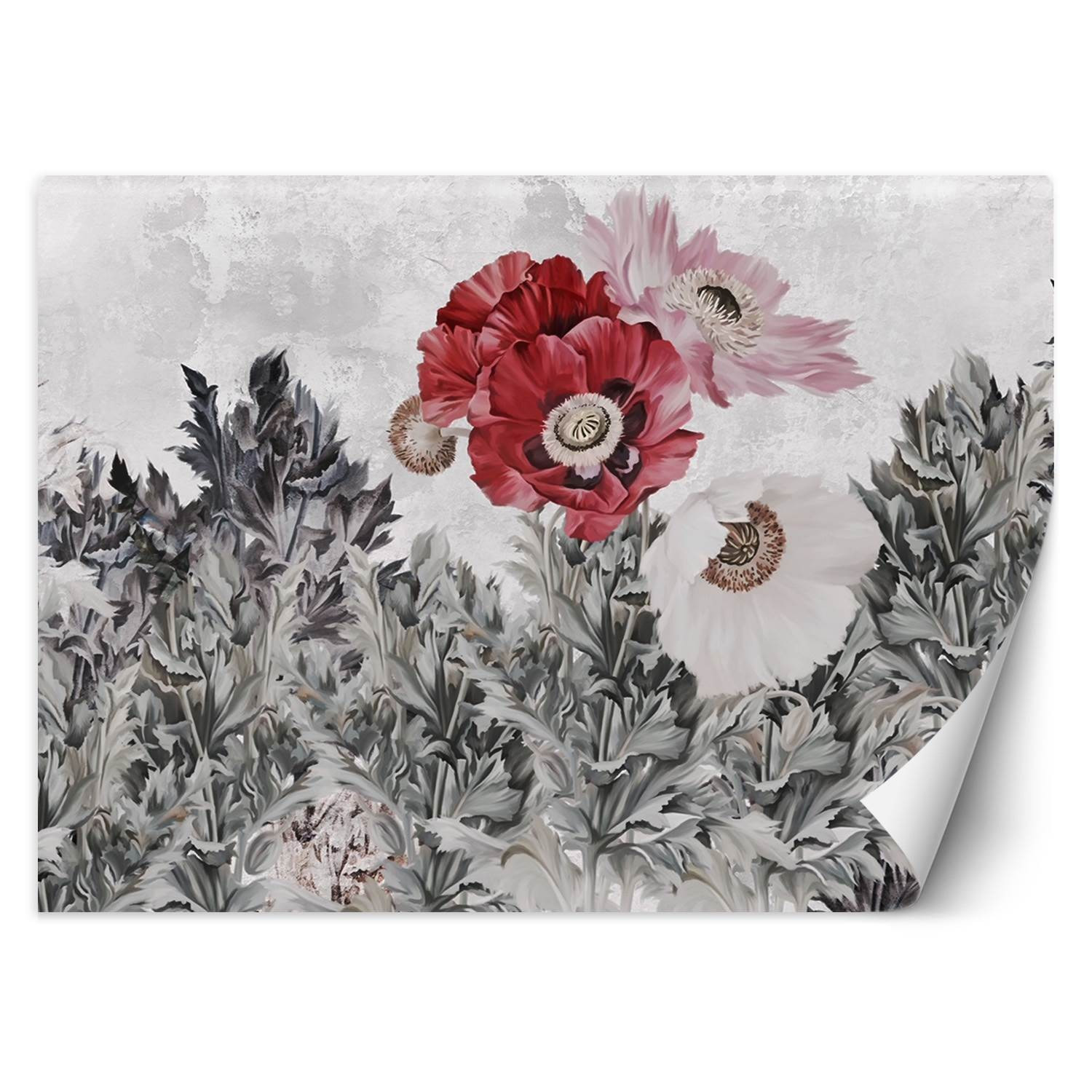 Feeby Fototapeta, Malowane czerwone maki 150x105