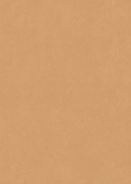 Papier peint vinyle sur intissé Erismann terracotta