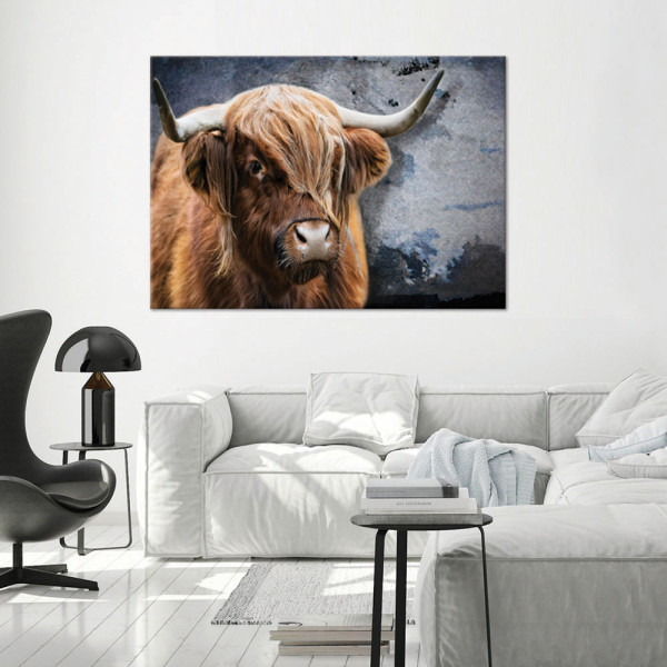 Feeby Obraz na płótnie, Krowa Szkocka Zwierzeta Natura 60x40